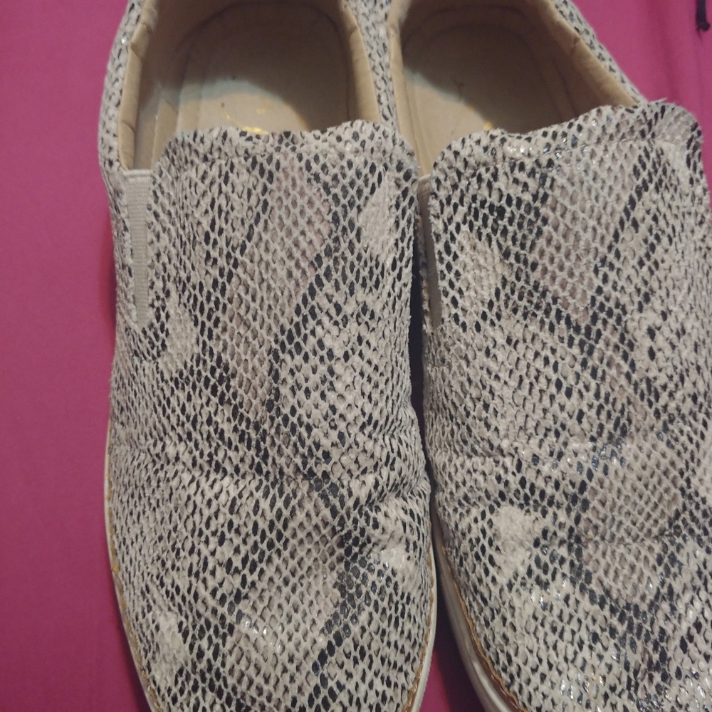 CCocci snake print loafers size 9